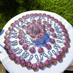 Keychain - Purple Flame