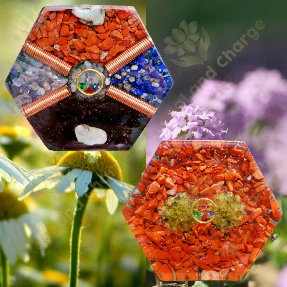 Child Cold and Flu plus Detox Set for under 10