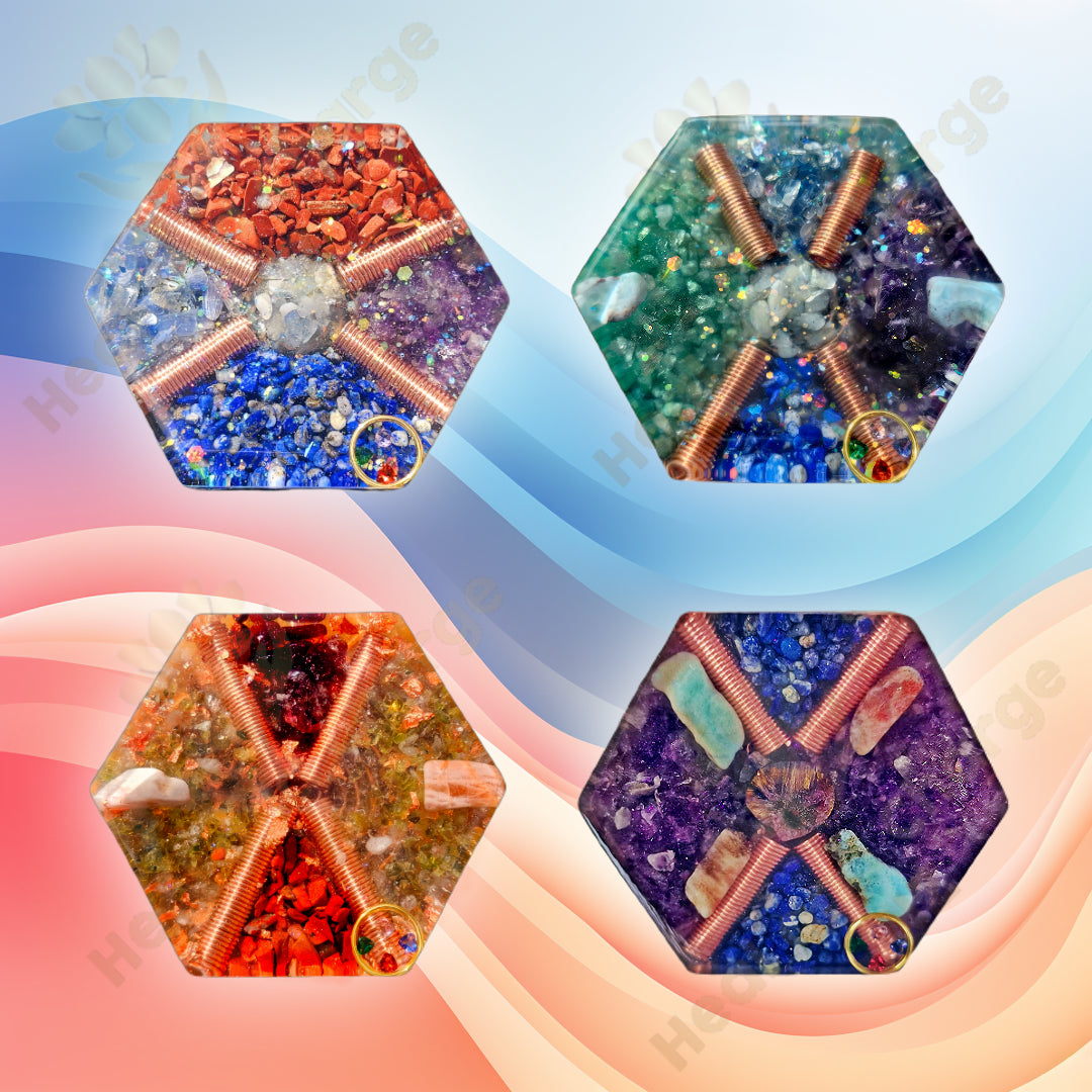 OmniFlow Equilibrium Set