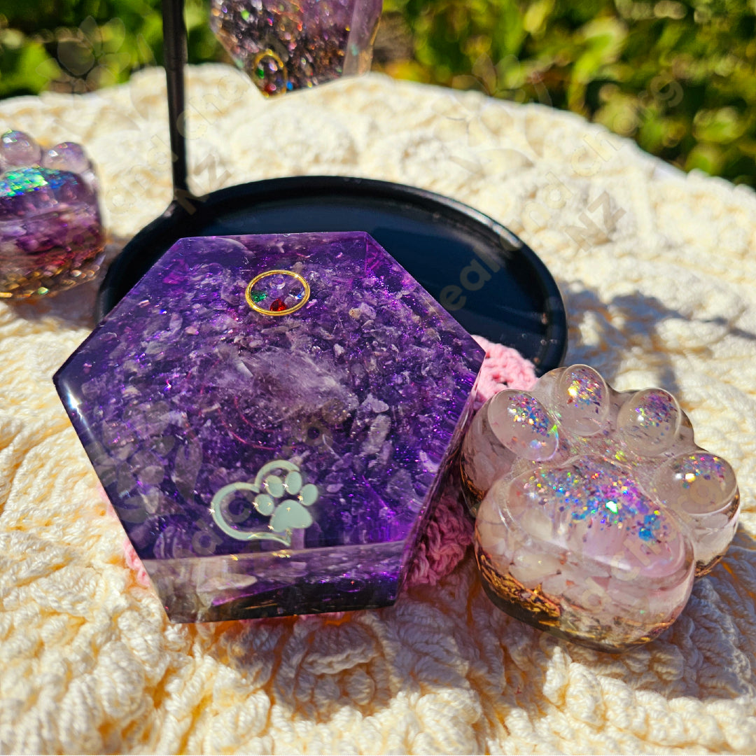 Pet - Purple Flame