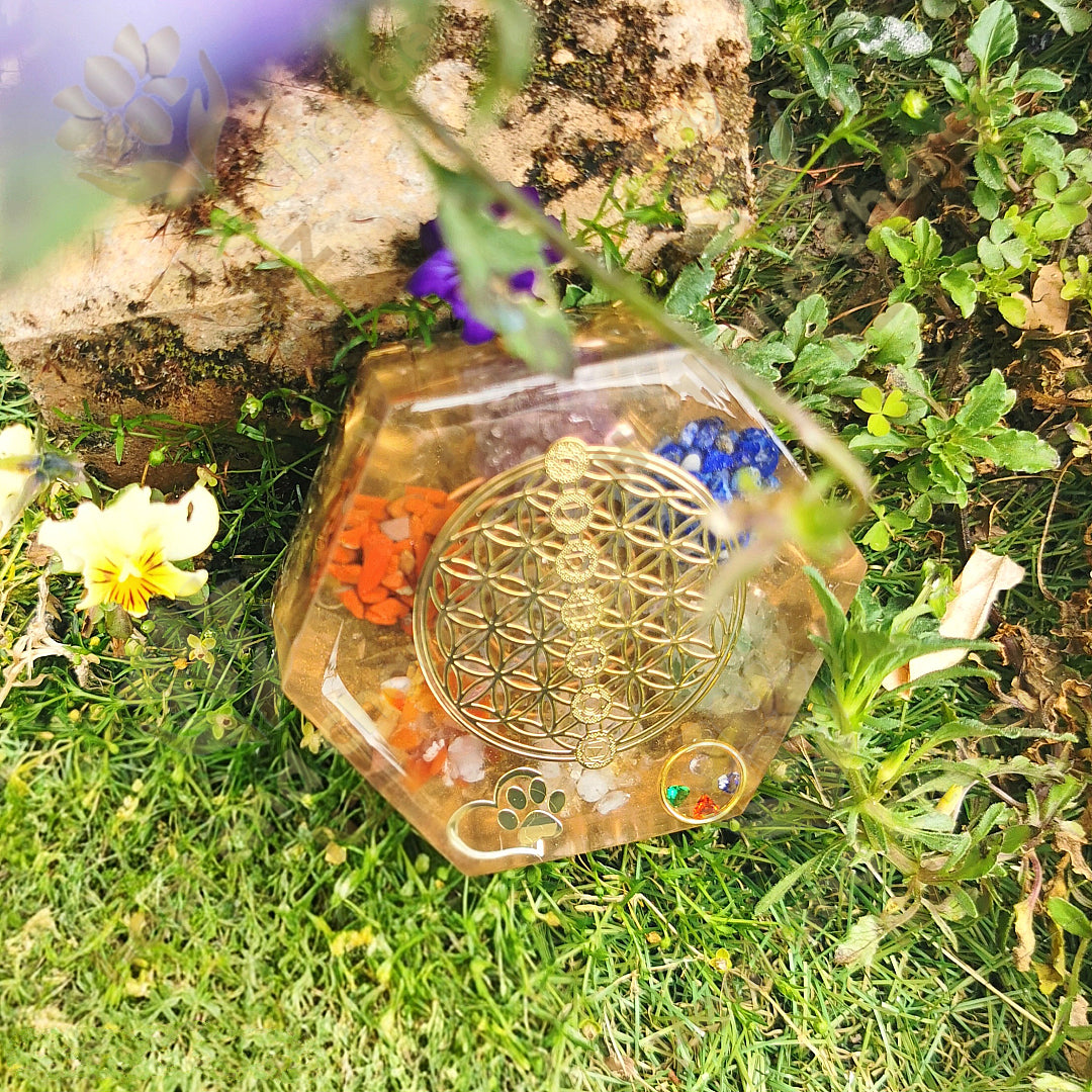 Pet - Flower of Life with 7 Chakras